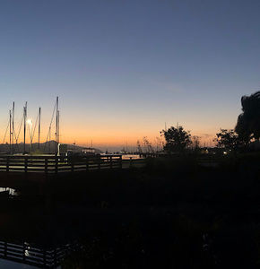 Meet your Posher, Paige